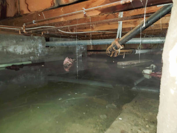 Best Professional water damage repair  in Wona Lake, IN
