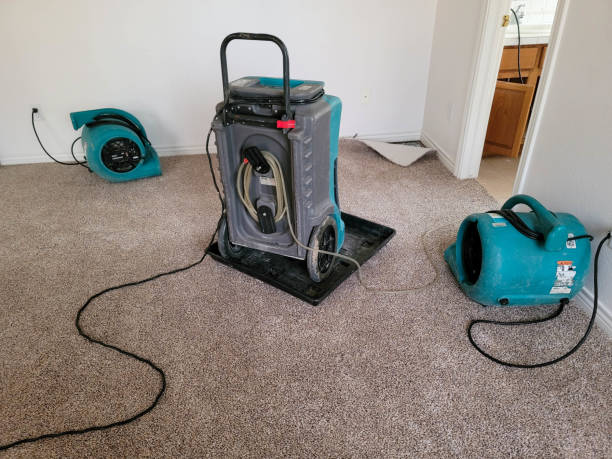 Best Water damage restoration mold remediation  in Wona Lake, IN