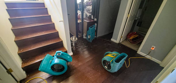 Best 24/7 water damage repair  in Wona Lake, IN