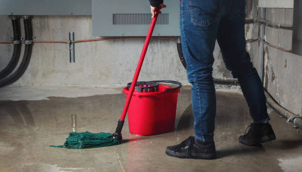 Best 24/7 water damage repair  in Wona Lake, IN