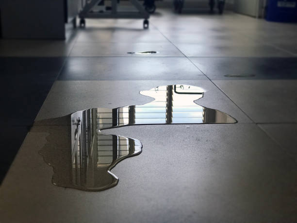 Best Water damage restoration near me  in Wona Lake, IN
