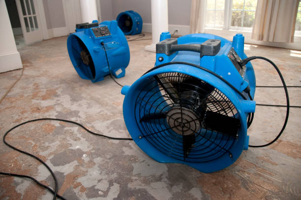 Best Flood damage cleanup  in Wona Lake, IN