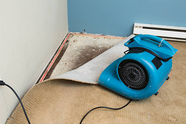 Best Carpet water damage restoration  in Wona Lake, IN